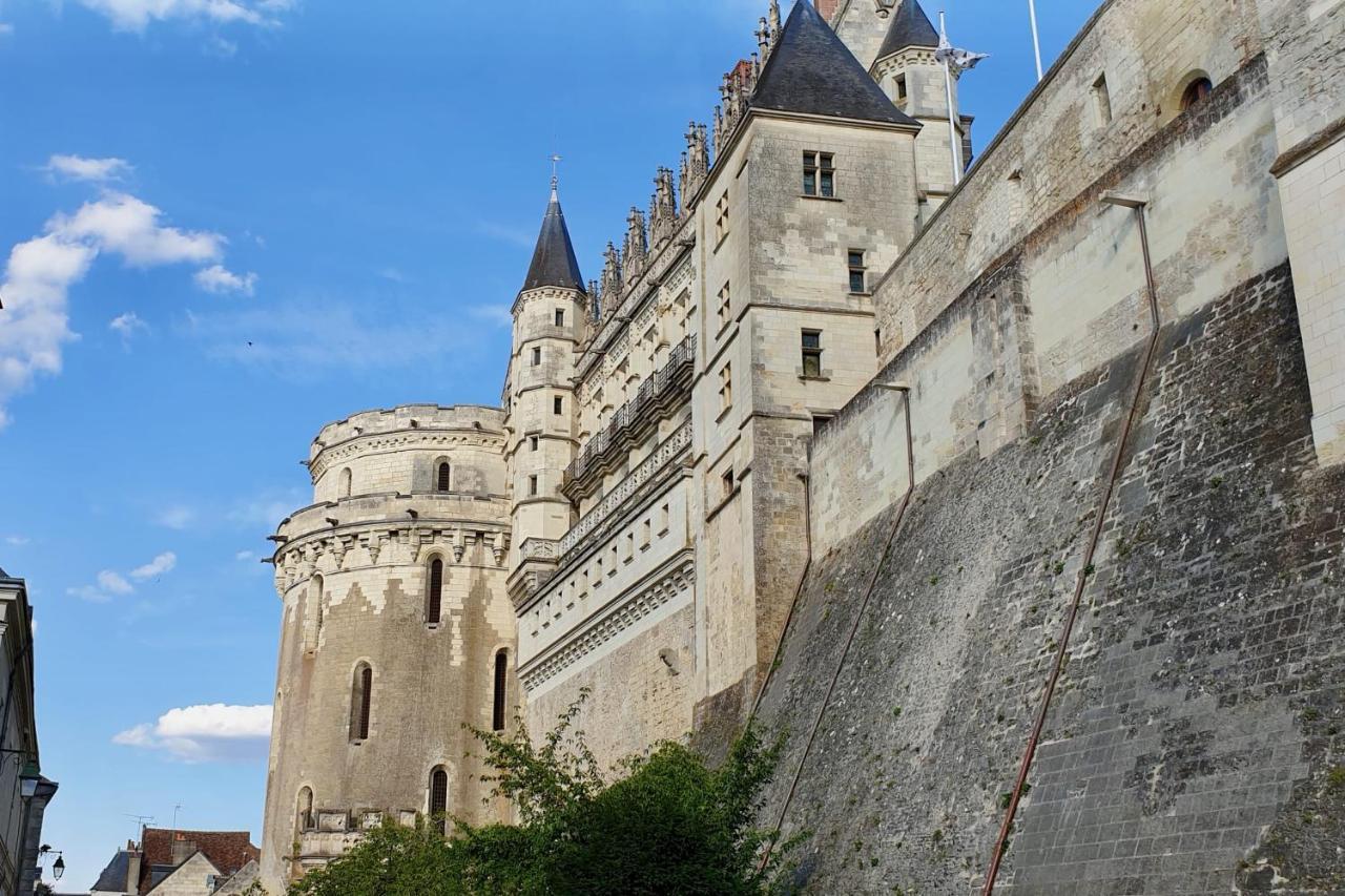 Splendid Apartment At The Foot Of The Castle Of Amboise - View Of The Loir Экстерьер фото